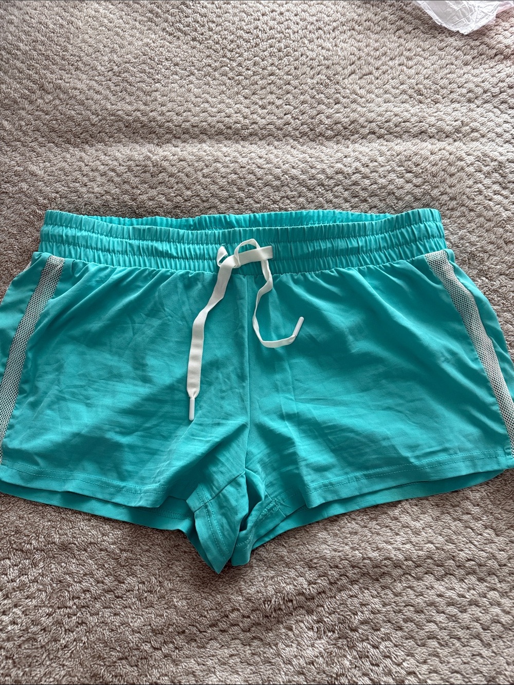Fabletics Turquoise Drawstring Athletic Shorts